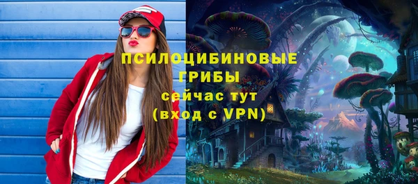 mdma Лагань
