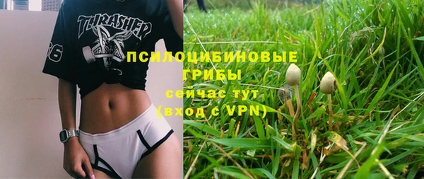МДПВ Ладушкин