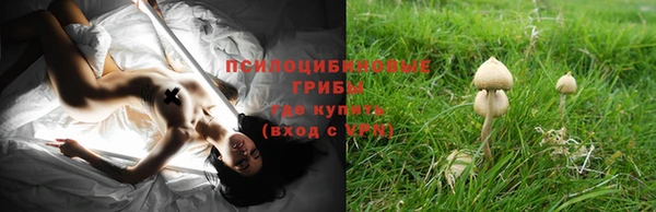 МДПВ Ладушкин